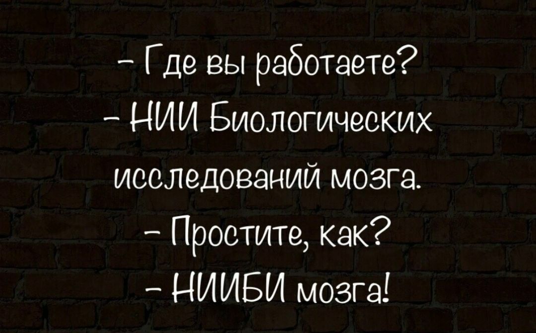 Где вы работаете НИИ Биологических исследований мозга Простите как НИИБИ мозга
