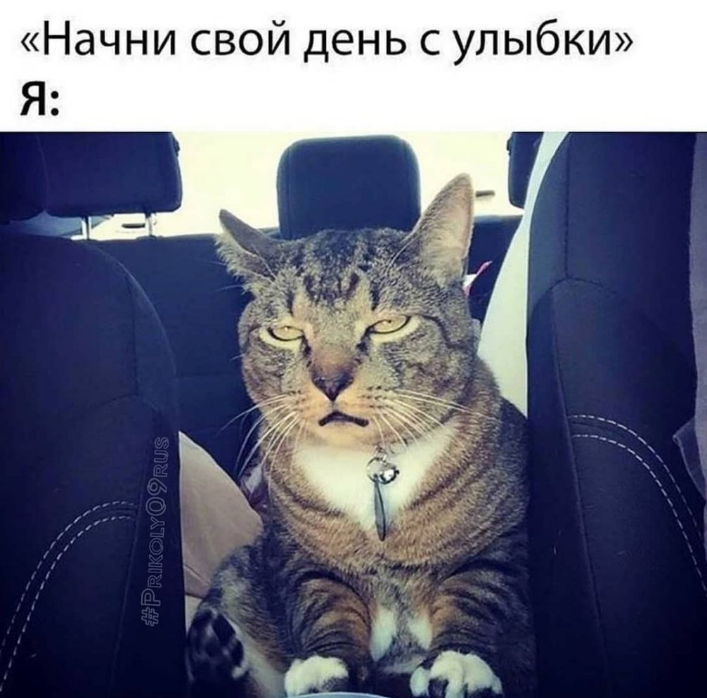 Начни свой день с улыбки