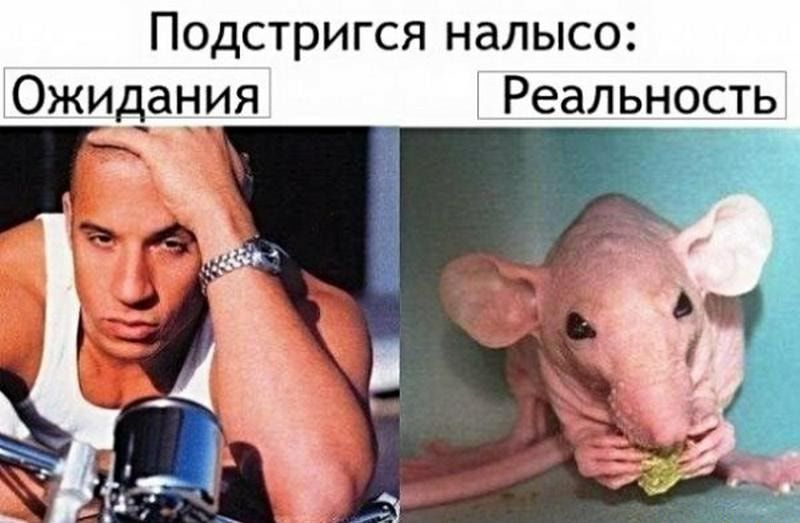 Подстригся налысо Ожидания Реальность