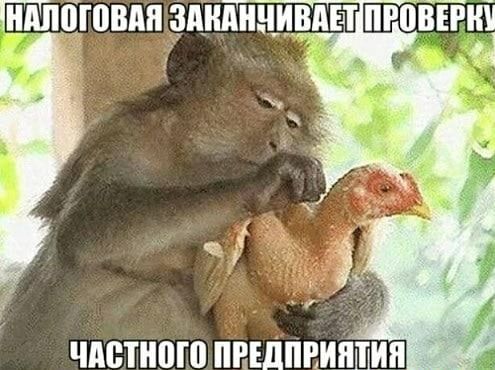 ЩЕЛЁШВАП ЗАНЁШШВПЕТ ПРВЁЁГНЗ ЧАВТНПЮ ПВШПЕИЯШИП