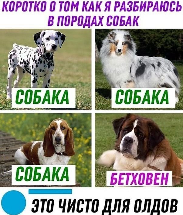 коротко а там КАК Я РАЗБИРАЮБЬ пиРадАх сиБАк ВПБАКА ыетхвн г Г эти чиста_л_яилав