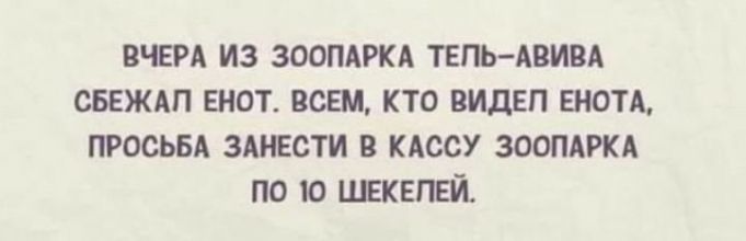 ВЧЕРА ИЗ ЗООПАРКА ТЕПЬАВИВА СБЕЖАП ЕНОТ ВСЕМ КТО ВИДЕЛ ЕНОТА ПРОСЬБА ЗАМЕСТИ В КАССУ ЗООПАРКА ПО Ю ЦЕКЕПЕЙ