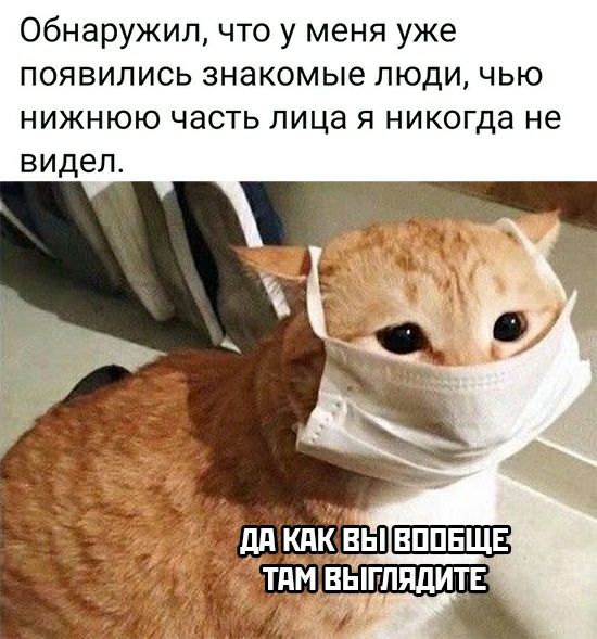 Обнаружил что у меня уже появились знакомые люди чью нижнюю часть лица я никогда не видел