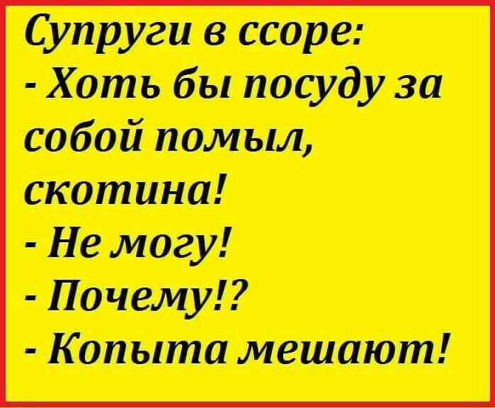 Супруги ссоре Хоть бы посуду за собой помыл скотина Не могу Почему Копыта мешают