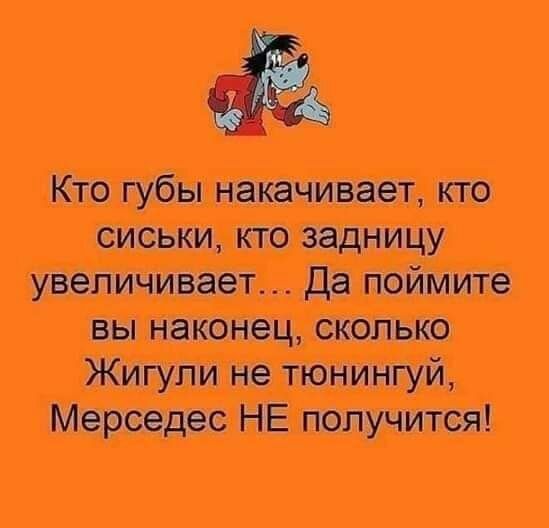 мы по и дикий штю штл п
