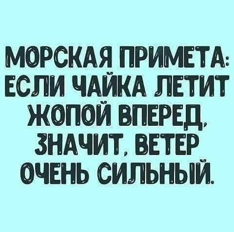 МОРСКАЯ ПРИМЕТА ЕСЛИ ЧАИКА ЛЕТИТ ЖОПОИ ВПЕРЕД ЗНАЧИТ ВЕТЕР ОЧЕНЬ СИЛЬНЫИ