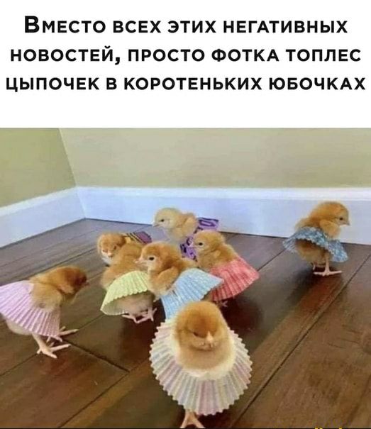 ВМЕСТО ВСЕХ ЭТИХ НЕГАТИВНЫХ НОВОСТЕЙ ПРОСТО ФОТКА ТОПЛЕС ЦЫПОЧЕК В КОРОТЕНЬКИХ ЮБОЧКАХ