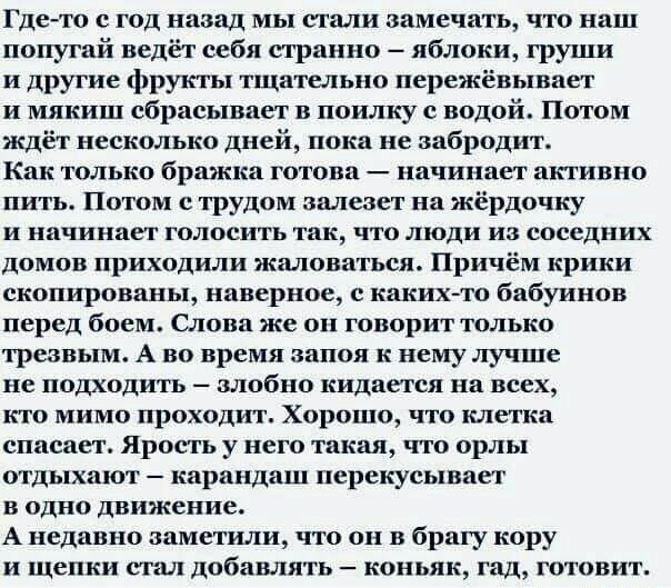 Гдето с год назад мы стали замечать что наш попугай ведёт себя странно яблоки груши и другие фрукты тщательно пережёвывает и мякиш сбрасывает в поилку с водой Потом ждёт несколько дней пока не забродит Как только бражка готова начинает активно пить Потом с трудом залезет на жёрдочку и начинает голосить так что люди из соседних домов приходили жаловаться Причём крики скопированы наверное с каких то