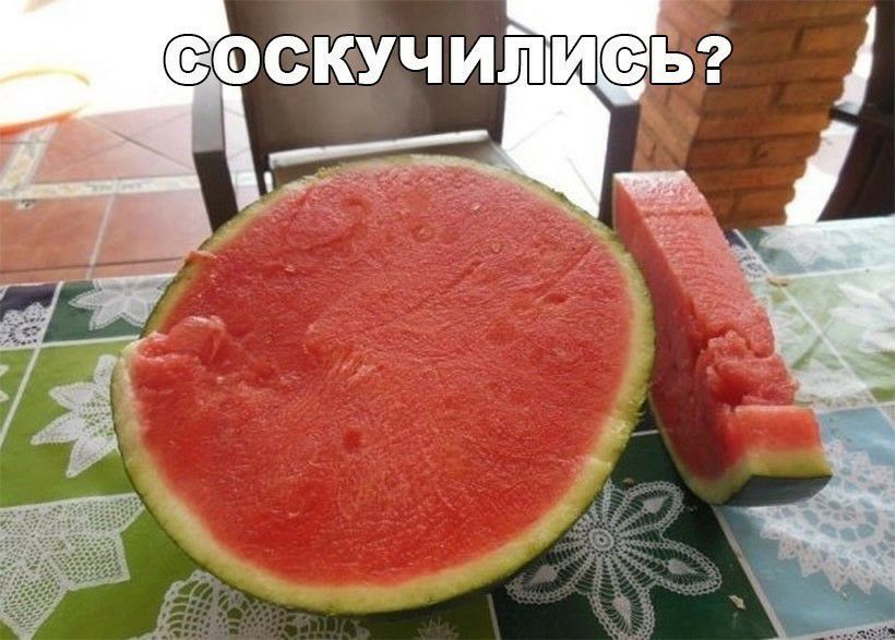 оскёучили в