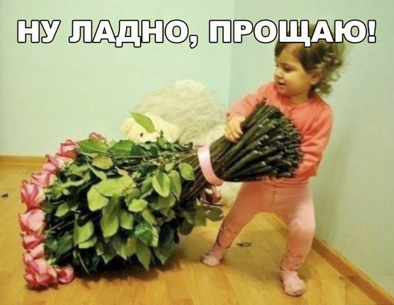 Аюд Щ пддн