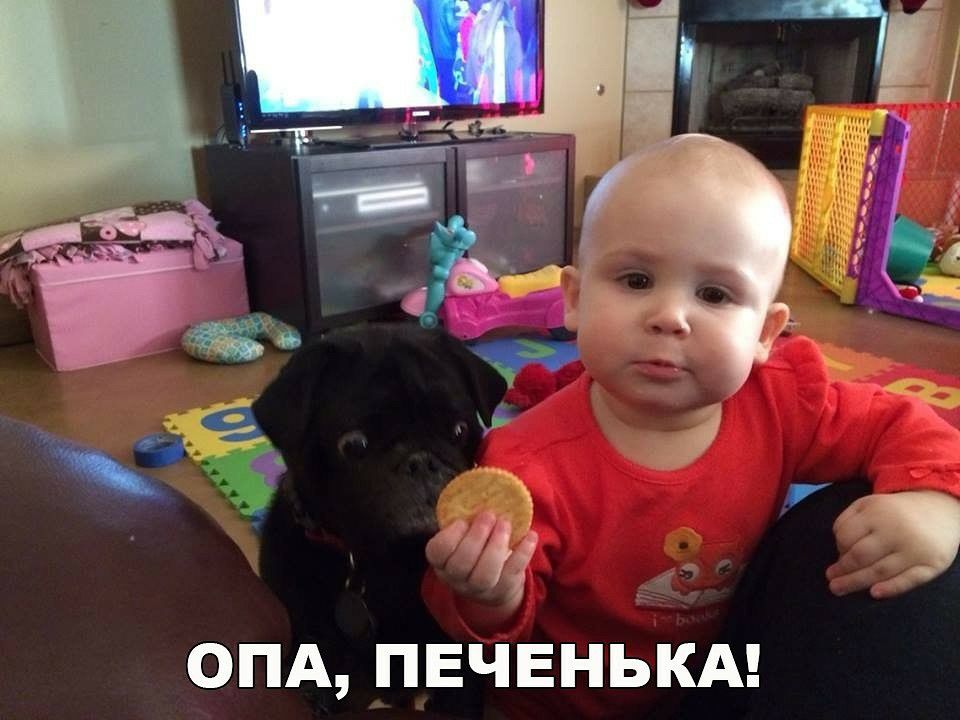ОПА ПЕЧЕНЬКА