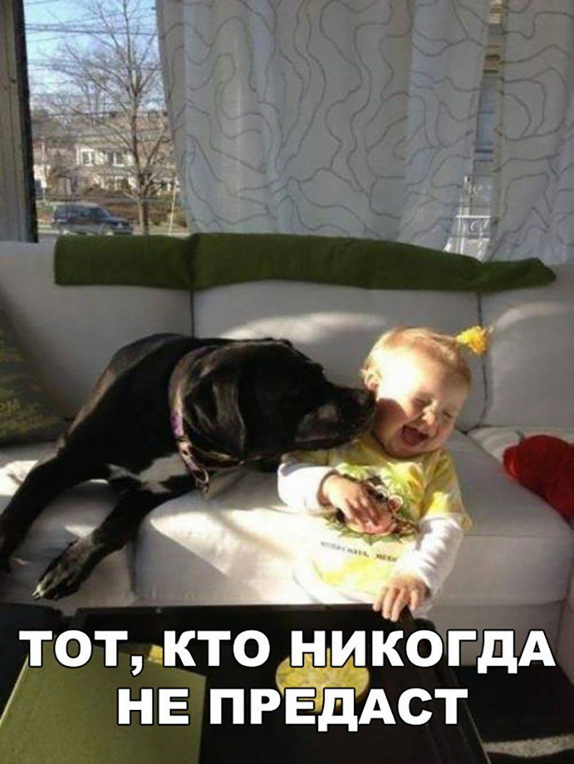 отткто никогдА нёпрвддст