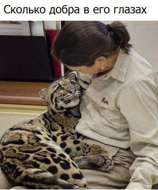 Сколько добра в его глазах