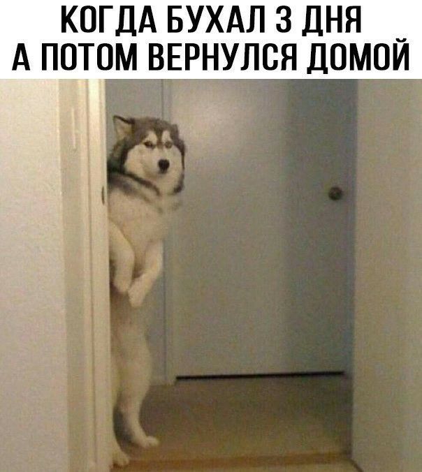 КОГДА БУХАЛ 3 ДНЯ А ПОТОМ ВЕРНУЛСЯ ДОМОИ