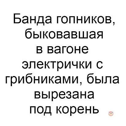 Банда гопников быковавшая в вагоне электрички с грибниками была вырезана под корень