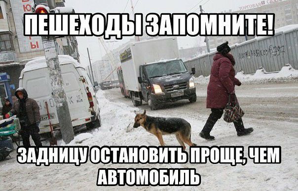 АВТВМВБИПЬ
