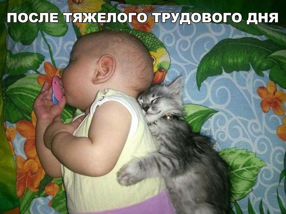 АЁЕпого тв д вого дня зе