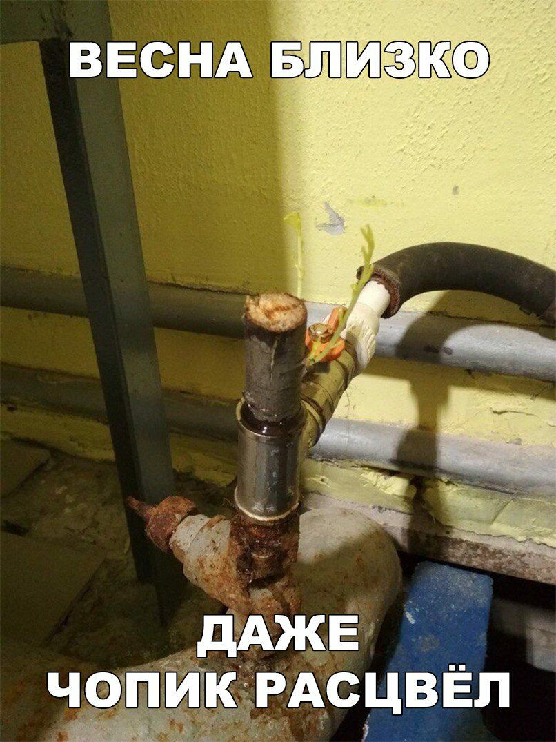 ввснАдвл дАЖЕ ЧОПИТКдРАСЦВЕЛ