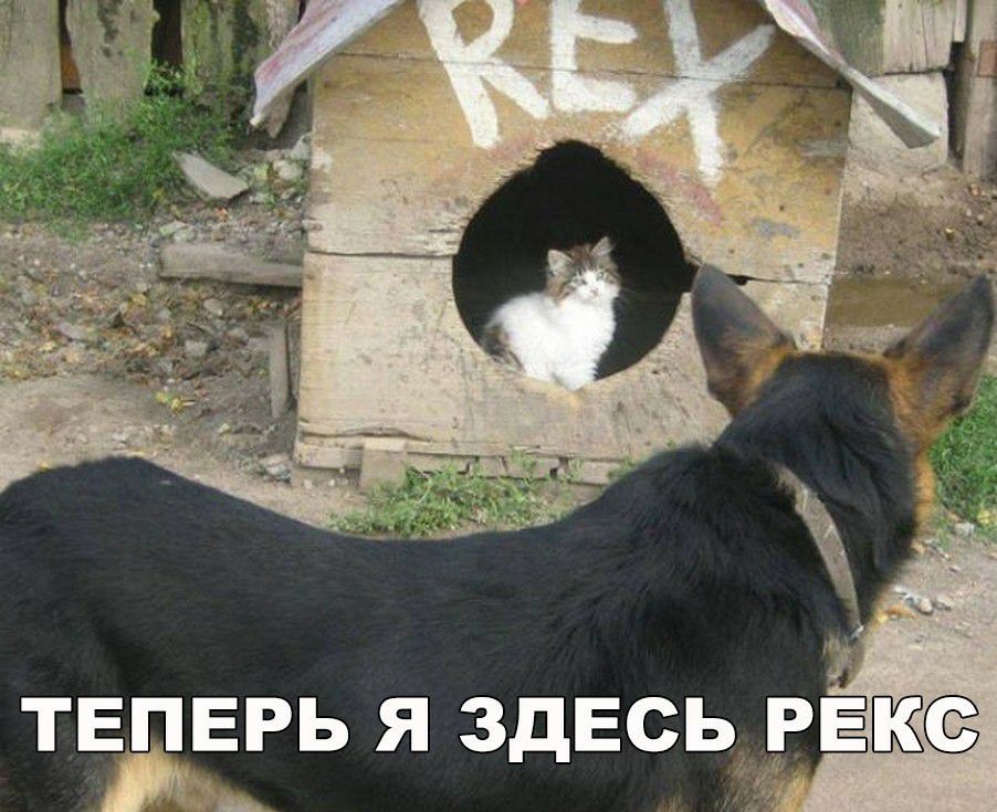 ТЕДЕРЬ Я ЗДЕСЬ РЕ