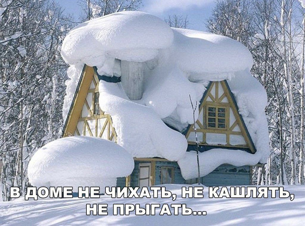 ЁЁ ЫЁёЁЬШП