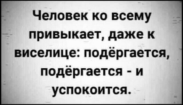 Человек ко всему привыкает даже к виселице подёргается подёргается и успокоится