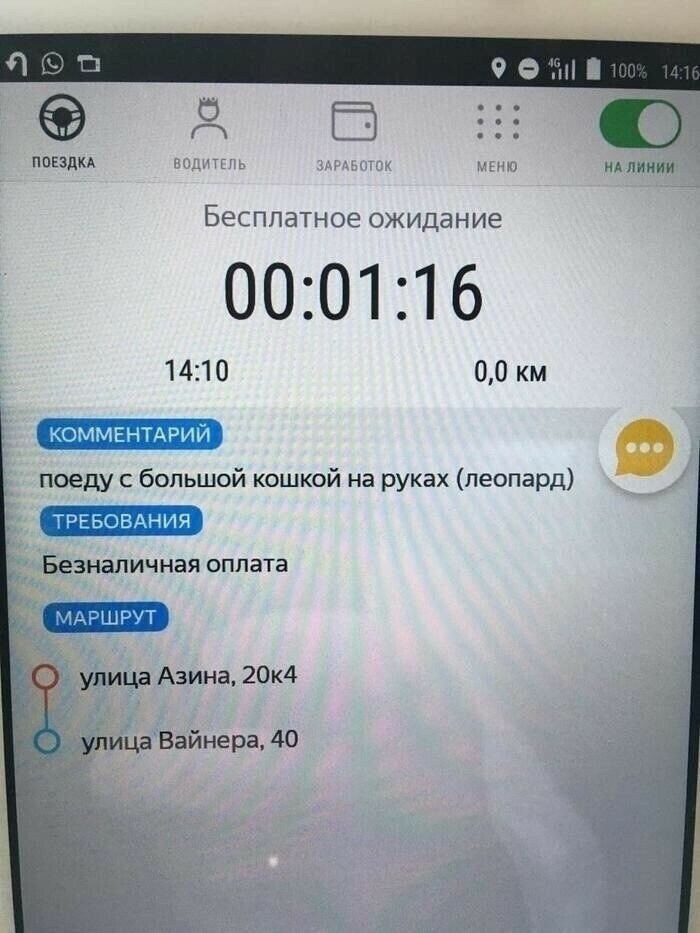 поищи нтгм мы нд линии БЕСППЭТНОЕ ожидание 000116 1410 00 км 9 поеду с большой кошкой на руках леопард ТСЕБОВДНИЯ Безналичная оплата уЬица Азина 20к4 _ уймЦаВайнера 40
