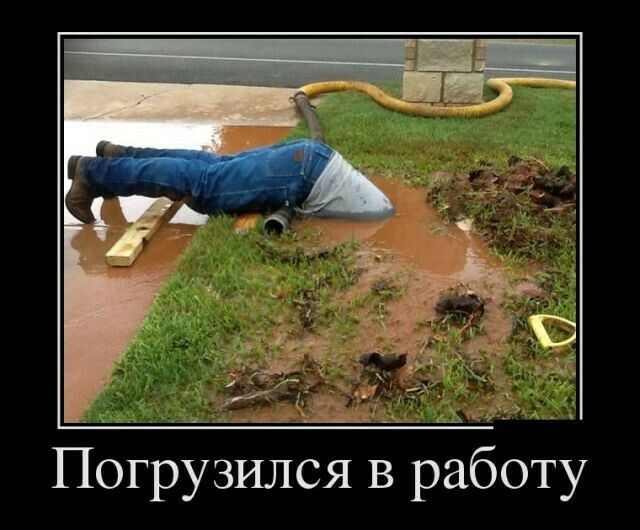 Погрузиэіся в работу