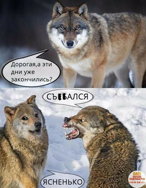 Дорогаяд эти дни уже