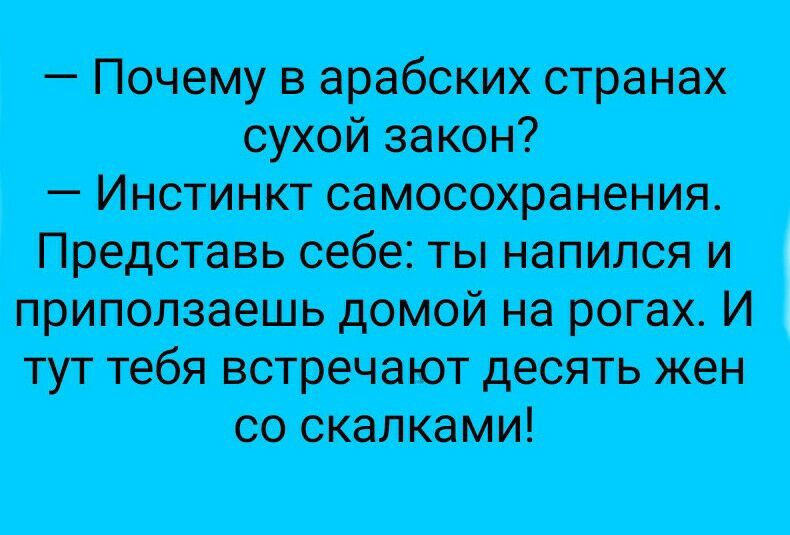 Почему в арабских странах сухой закон Инстинкт самосохранения Представь себе ты напился и приползаешь домой на рогах И тут тебя встречают десять жен оо шапками