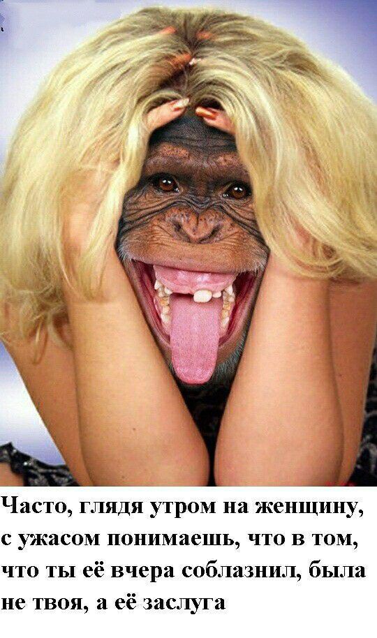 Часто глядя утром на женщину с ужасом понимаешь что в том что ты её вчера соблазнил была не твоя а её заслуга