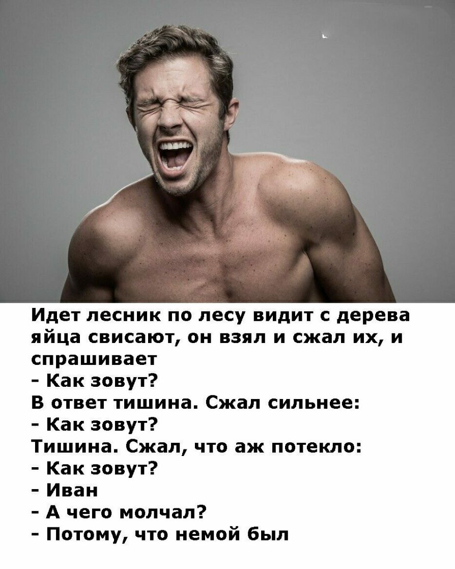 Идет лесник по лесу видит с дерева яйца свисают он взял и сжал их и спрашивает Как зовут В ответ тишина Сжал сильнее Как зовут Тишина Сжал что аж потекло Как зовут Иван А чего молчал Потому что немой был