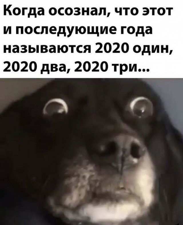 Когда осознал что этот и последующие года называются 2020 один 2020 два 2020 три 3 Г
