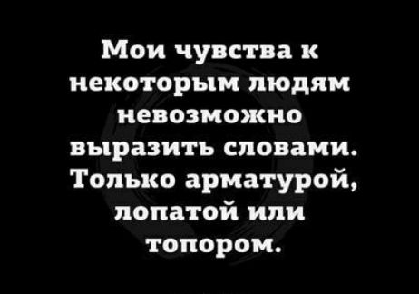 Мои чувства к некоторым людям невозможно выразить словами Только арматурой лопатой или топором