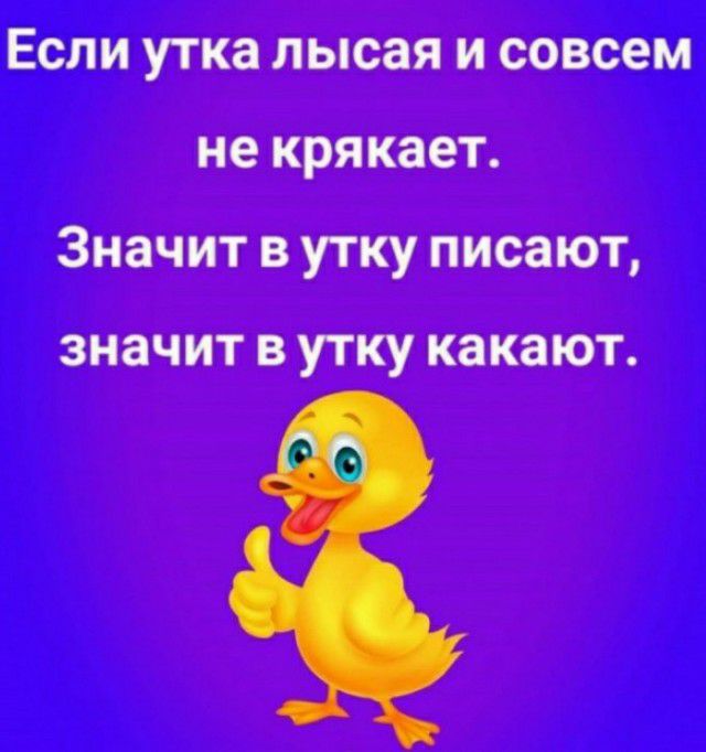 Если утка лысая и совсем не крякает Значит в утку писают ЗНЗЧИТ В УТКУ КЗКЗЮТ