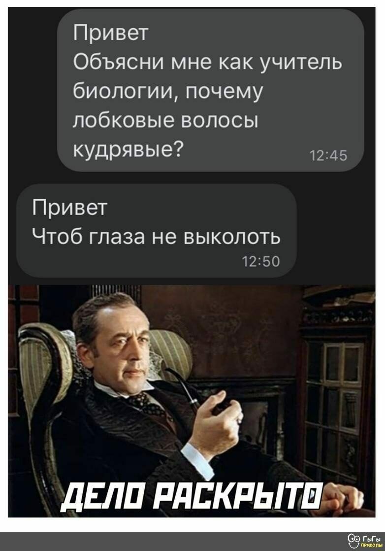 Привет Объясни мне как учитель биологии почему лобковые волосы кудрявые Привет Чтоб глаза не выколоть