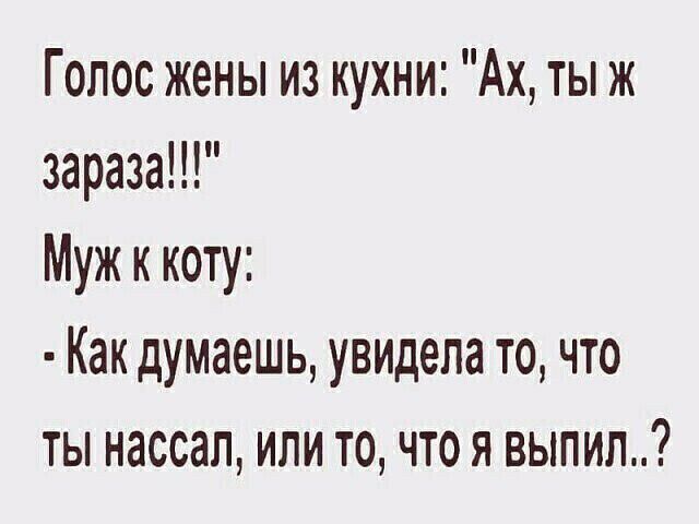 Голос жены из кухни Ах ты ж зараза Муж к коту Как думаешь увидела то что ты нассап или то что я выпил