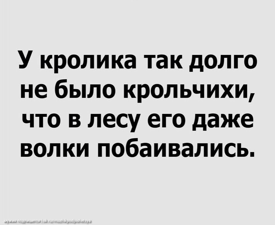 У кролика так долго не было крольчихи что в лесу его даже волки побаивались