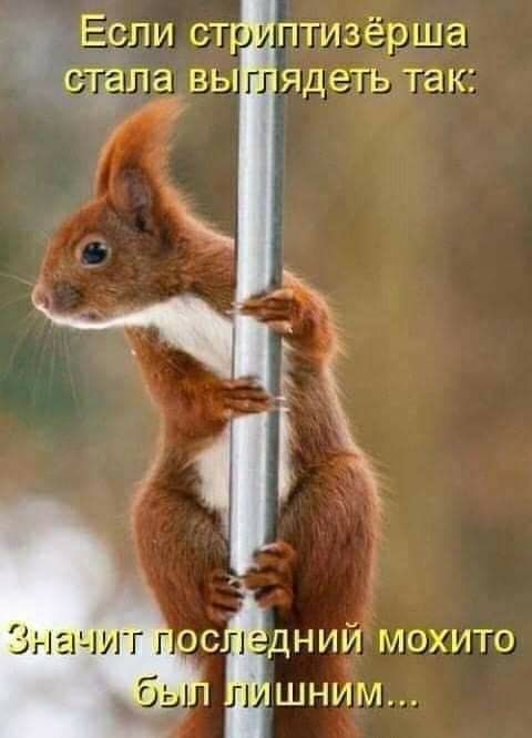 Если от птизёрша ядеть так ДНИ МОХИТО ШНИМ