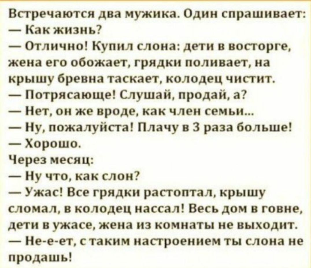 Встречаются два мужика Один спрашивает Как жизнь Отлично Купил слона дети в восторге жена его обожает грядки поливает на крышу бревна таскает колодец чистит Потрясающе Слушай продай а Нет он же вроде как член семьи Ну пожалуйста Плачу в 3 раза больше Хорошо Через месяц Ну что как слон Ужас Все грядки растоптал крышу сломал в колодец нассал Весь дом в говне дети в ужасе жена из комнаты не выходит Н
