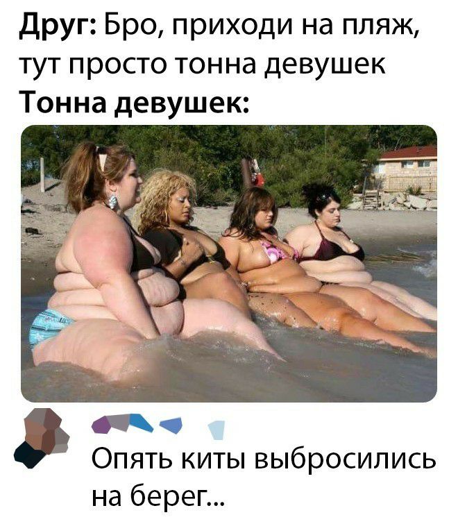 Друг Бро приходи на пляж тут просто тонна девушек Тонна девушек Опять киты выбросились на берег