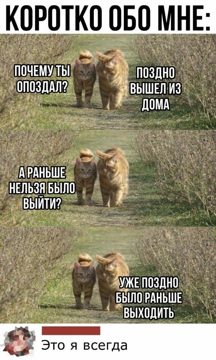 МНЕ ппзДНЪ вышш из Бьлп РАНЬШЕ івыхпдить