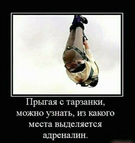 Прыгая с тарзанки можно узнать из какого места выделяется адреналин