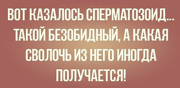 вотндздлпсьспврмдтозоид тдкпйввзовиднымкдкдя сввлочьаи аіиногдд получдгтсяд