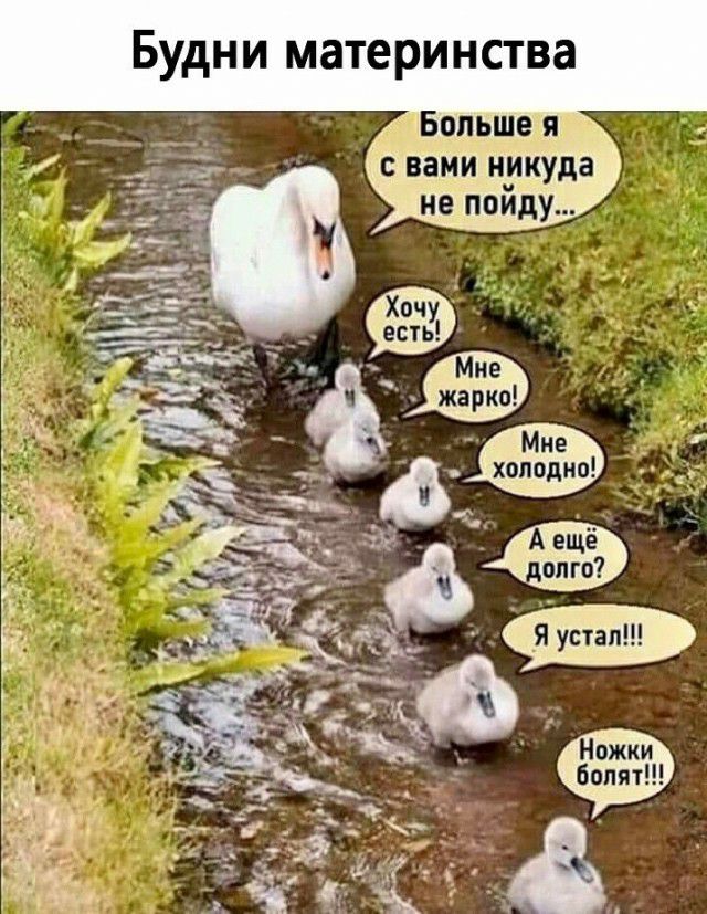 Будни материнства Больше Я С вами никуда не пойду Мне жарко холодно