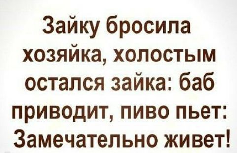 Зайку бросила хозяйка холостым остался зайка баб приводит пиво пьет Замечательно живет