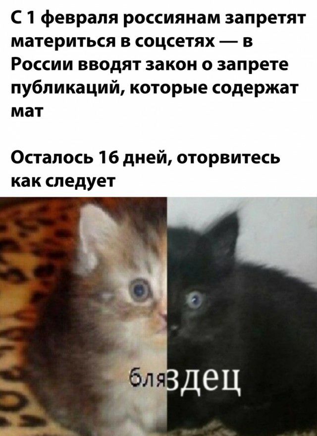 С 1 февраля россиянам запретят материться в соцсетях в России вводят закон о запрете публикаций которые содержат мат Осталось 16 дней оторвитесь как следует
