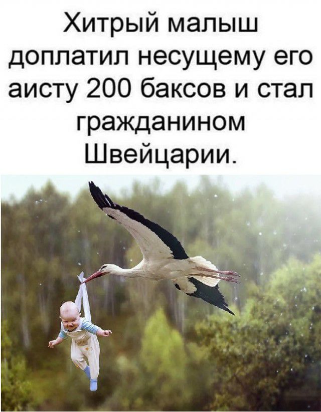 Хитрый малыш доппатип несущему его аисту 200 баксов и стал гражданином Швейцарии