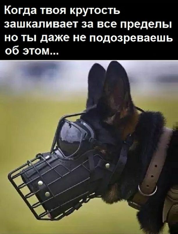 Когда твоя крутость зашкаливает за все пределы но ты даже не подозреваешь об этом