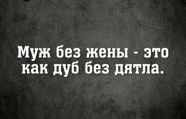 Муж без жены это как дуб без дятла