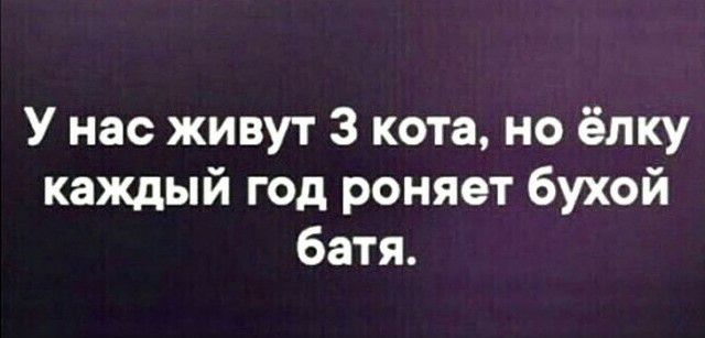 У нас живут 3 кота но ёлку каждый год роняет бухой батя